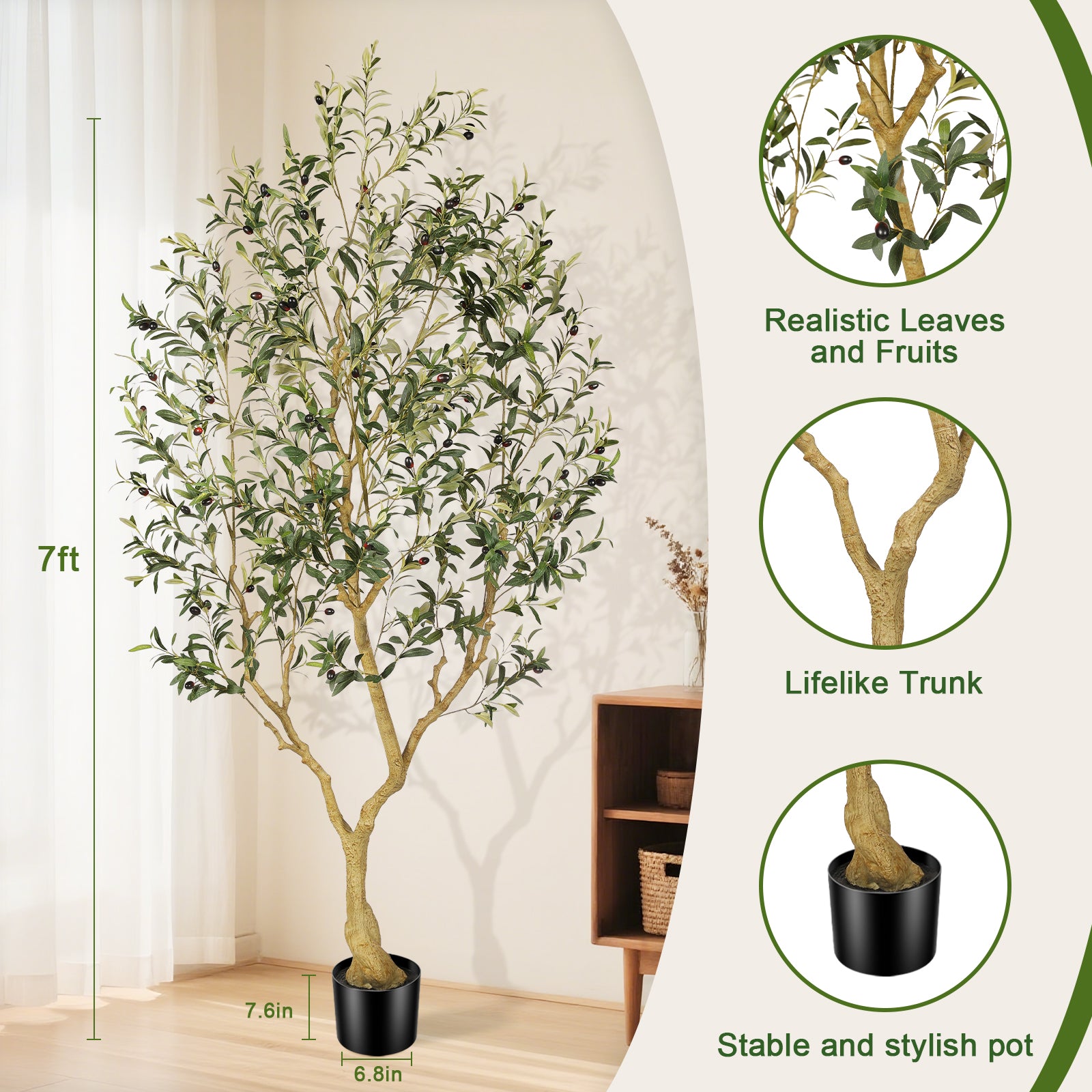 7ft Large Olive Tree