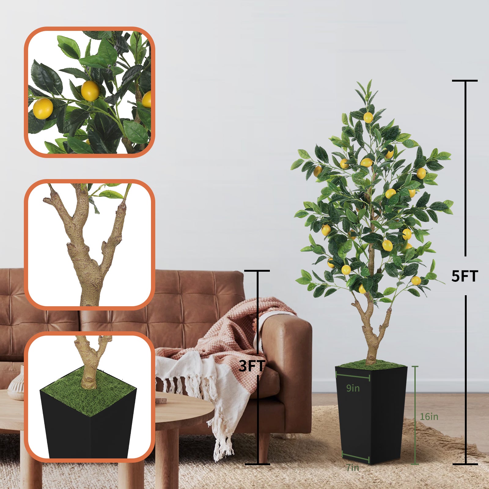 5ft Lemon Tree with Black Pot
