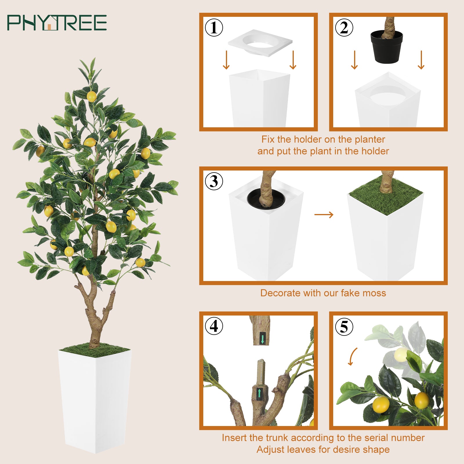 5ft Lemon Tree with White Pot
