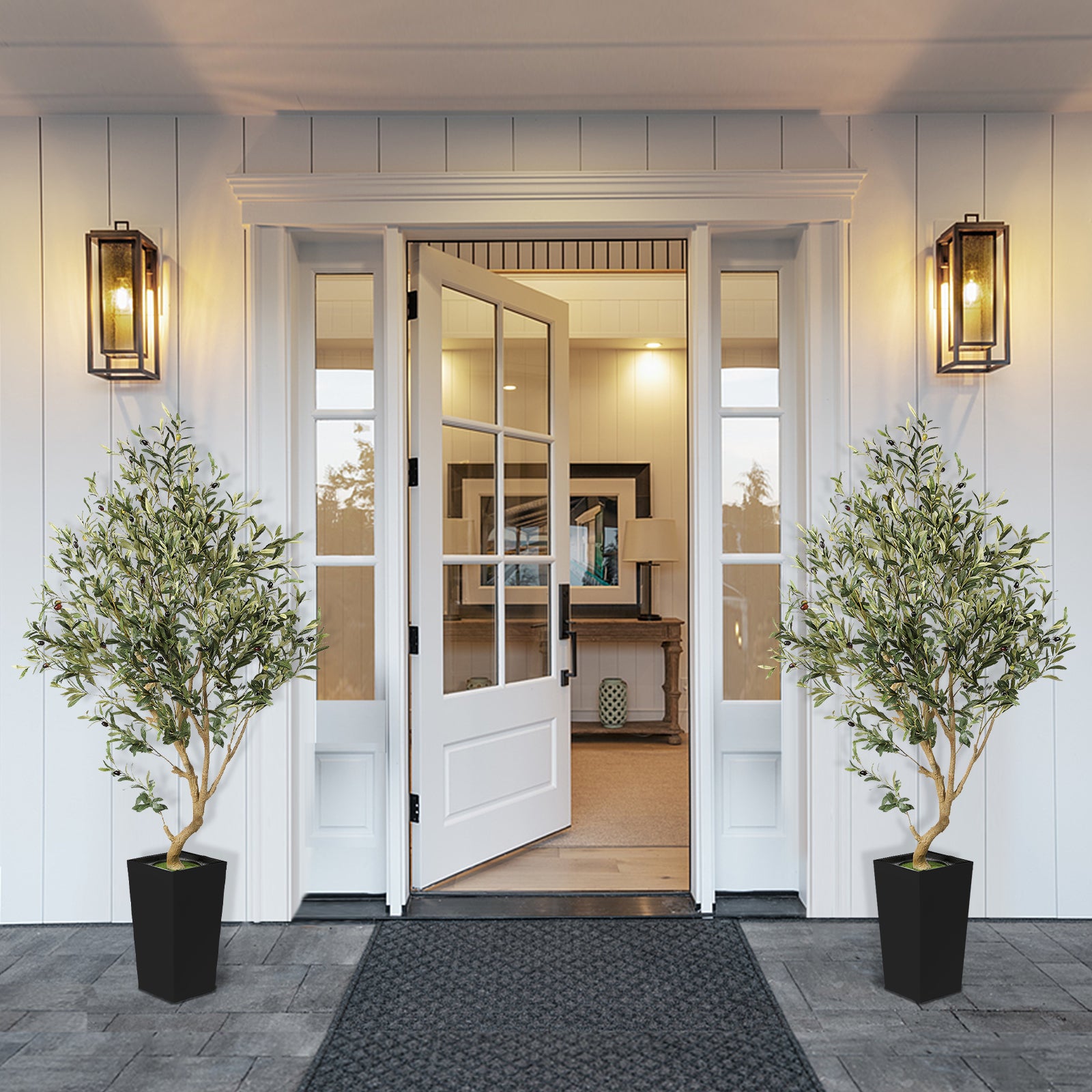 5.5ft Olive Tree with Black Tall Planter