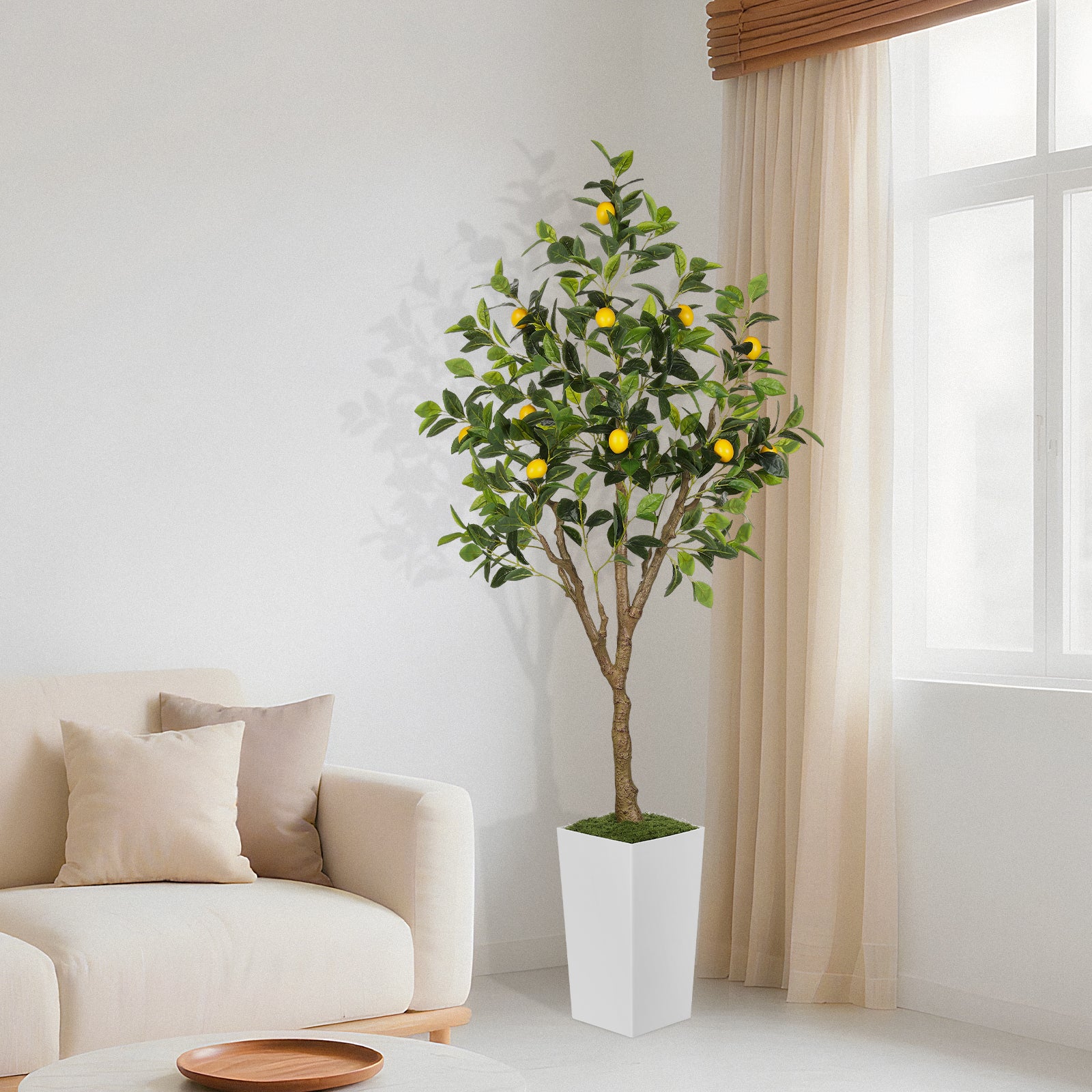 6ft Lemon Tree with White Pot - 72"Tall