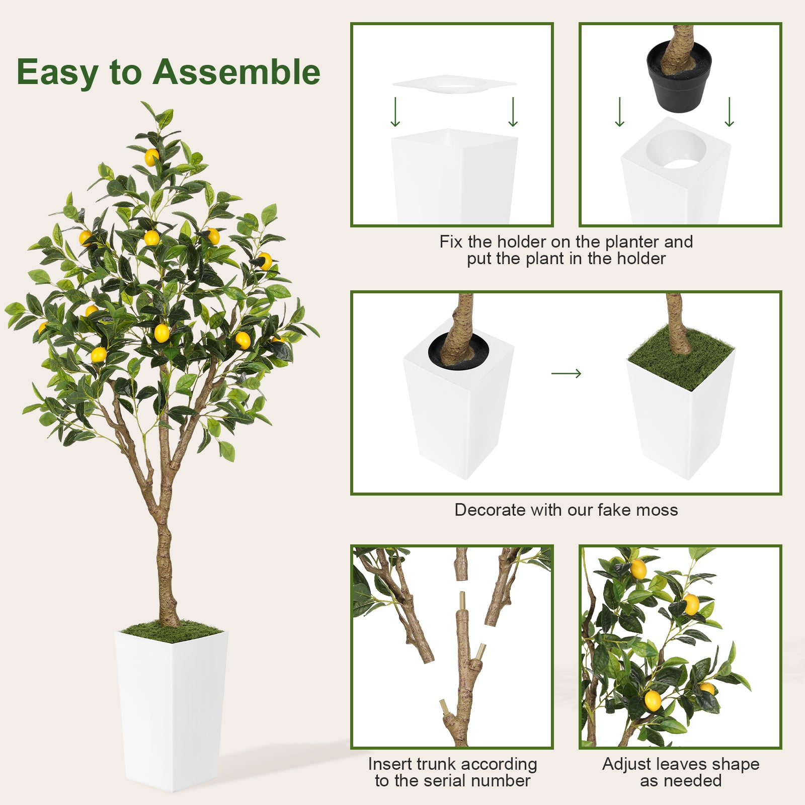 6ft Lemon Tree with White Pot - 72"Tall