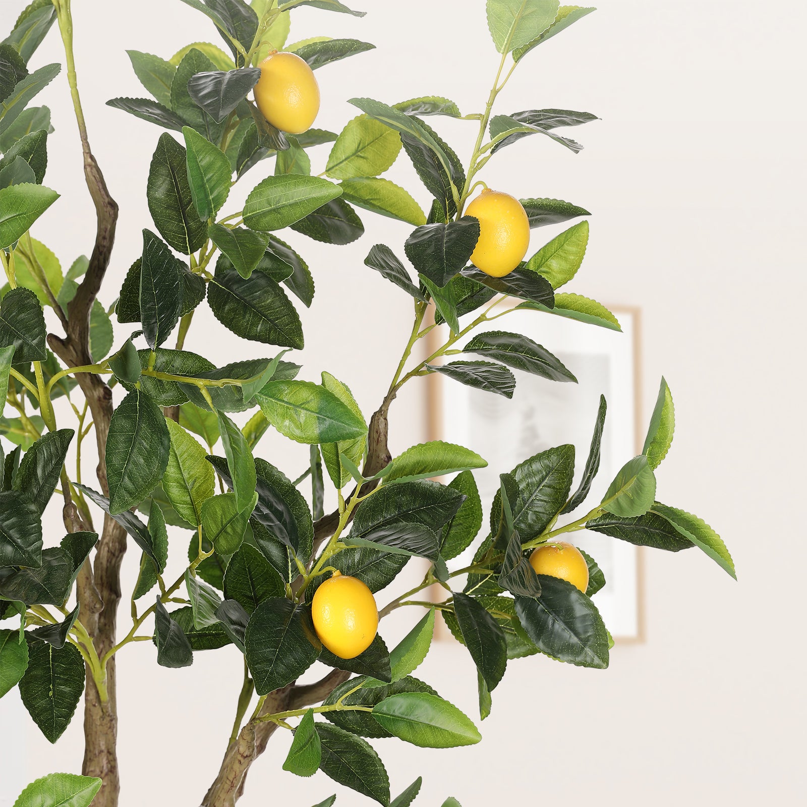 6ft Lemon Tree with White Pot - 72"Tall