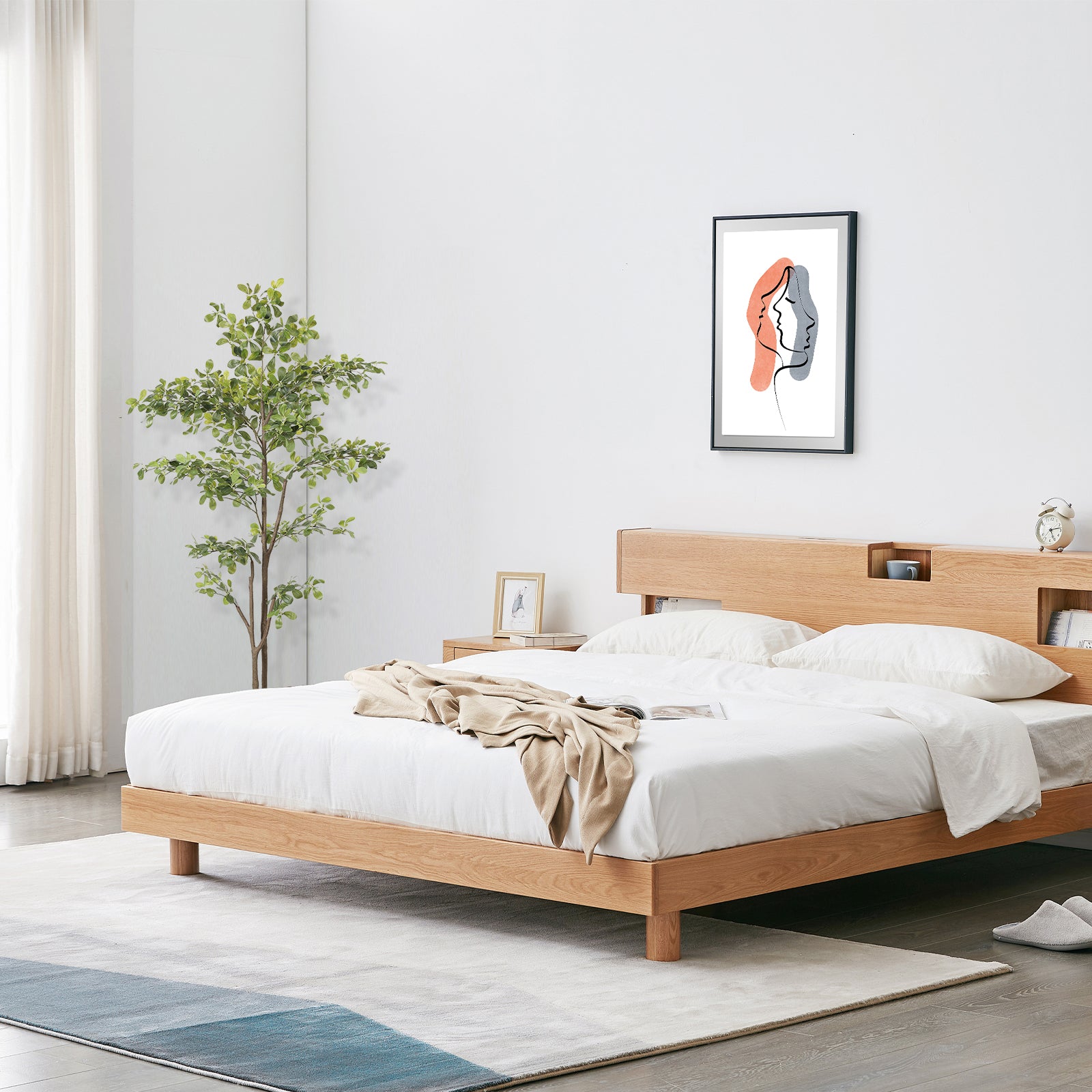 6ft Black Olive Tree