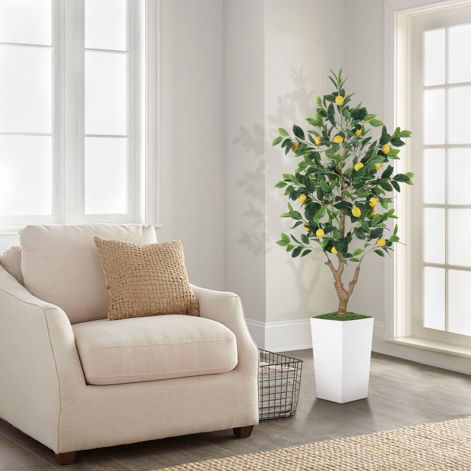 5ft Lemon Tree with White Pot